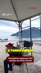 Pescadores capturam mixaria de 237 tainhas na Praia Central