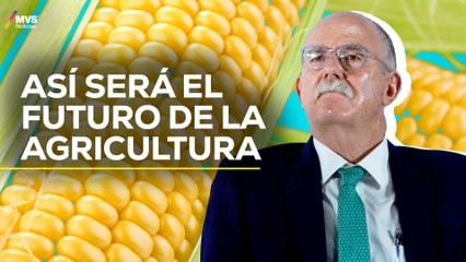 ‘No estamos de acuerdo con MAÍZ BLANCO TRANSGÉNICO’: JULIO BERDEGUÉ