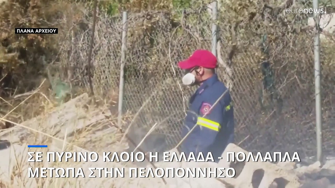 Ελλάδα: Ολονύχτια μάχη με τις φλόγες στην Ηλεία - Σε ύφεση τα υπόλοιπα μέτωπα