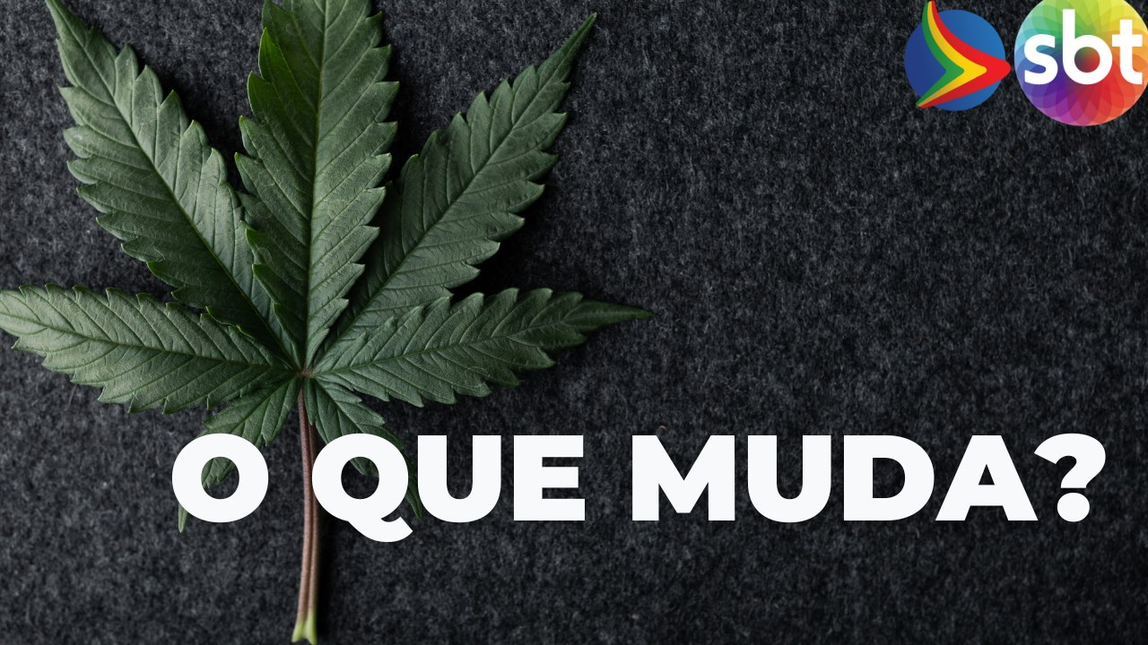 O que é ilícito administrativo? Entenda julgamento do STF sobre o porte de maconha