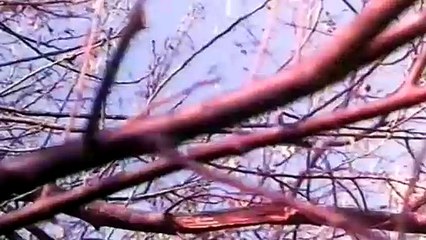 MERA JEEUAN KORA KAGAZ — KORA KAGAZ