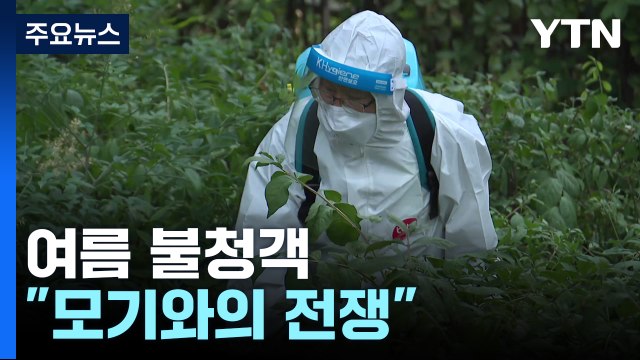 이른 더위에 빨라진 여름 불청객... 모기와의 전쟁 / YTN