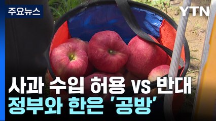 "사과 수입 허용" vs "반대"...정부와 한은 '공방' / YTN