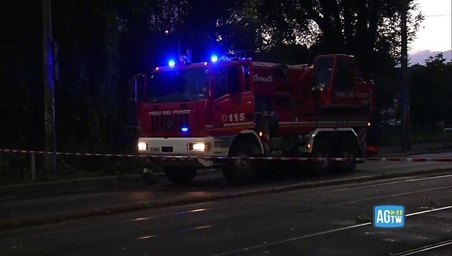 Nubifragio a Milano, alberi caduti e una linea del tram interrotta: le conseguenze della bomba d'acqua