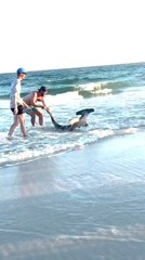 Man Catches Huge Hammerhead Shark While Fishing Then Returns it to Sea