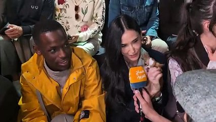 Gatos em meio a gatos