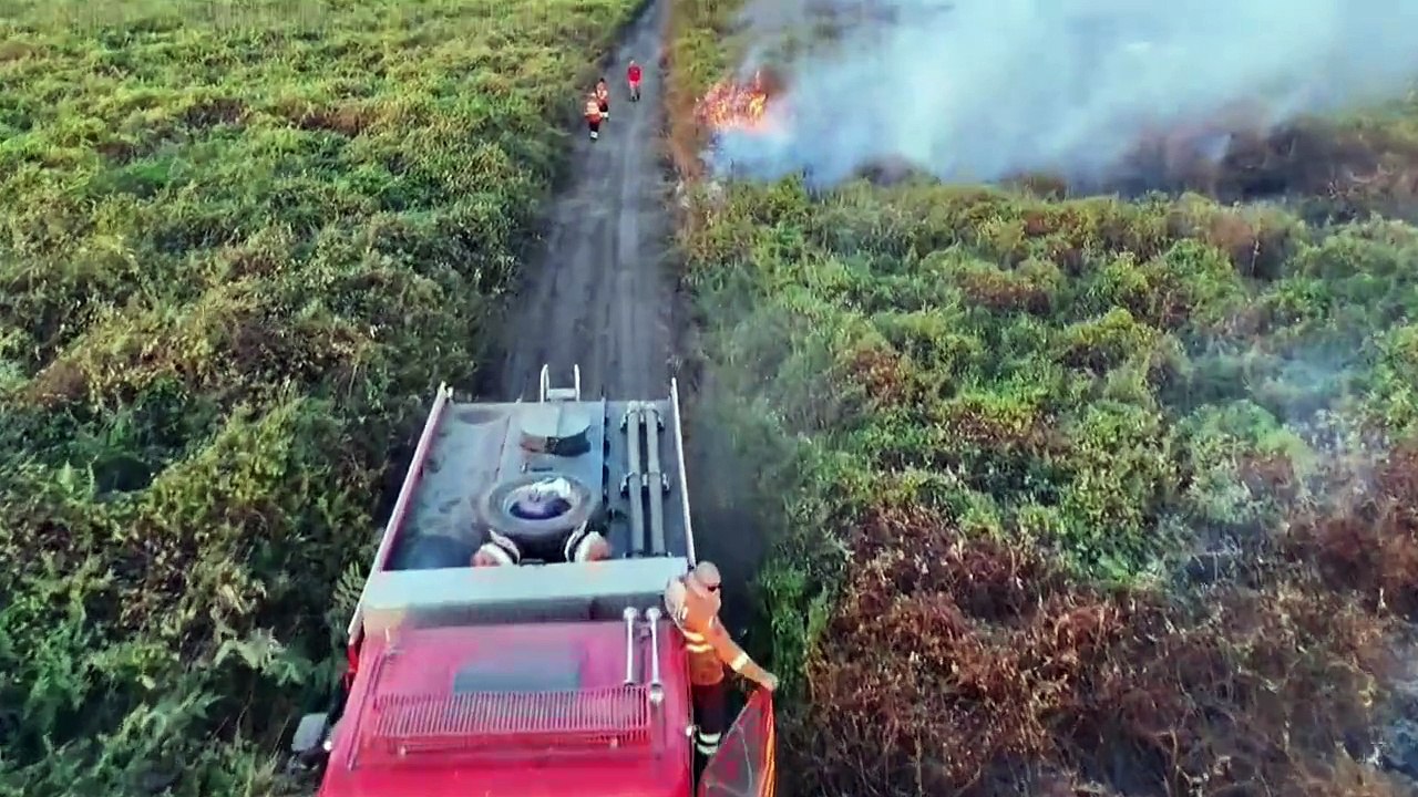 Pantanal registra recorde de incêndios em junho, antes da estação seca