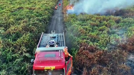 Incendios récord en el Pantanal brasileño en junio, antes de la temporada seca