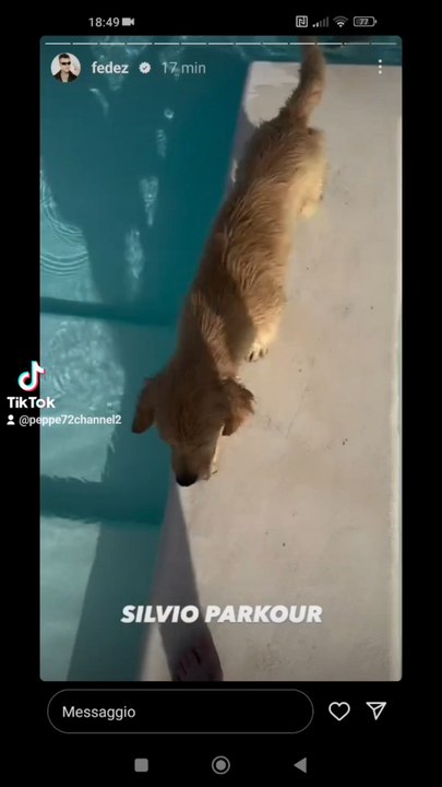 silvio parkour