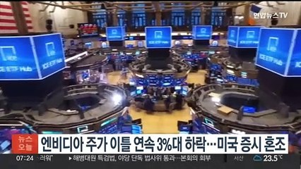 엔비디아 주가 이틀 연속 3%대 하락…미국 증시 혼조
