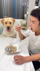 Gouzi_s last sentence was so unpleasant. Good luck in 2024. Please check it out