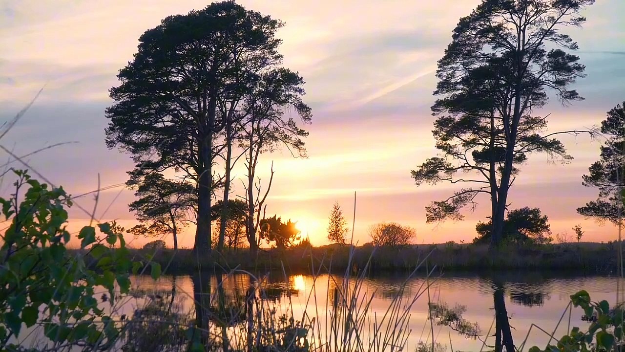 Thương về miền trung - Tác giả Duy Khánh