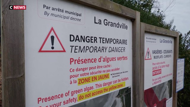 Bretagne : le retour des algues vertes