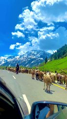 Naran Valley Khyber Pakhtunkhwa------_._._._._._.__naranvalley _kaghanvalley _babusartop _hunza _gilgitbaltistan _skardu _deosai _explorepakistan _beautifulpakistan _northpakistan _beautifuldestinations