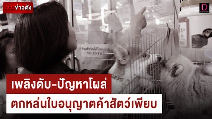 เพลิงดับ-ปัญหาโผล่ตกหล่นใบอนุญาตค้าสัตว์เพียบ  | เจาะข่าวดัง เดลินิวส์ 22/06/67