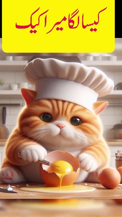 Making the cake