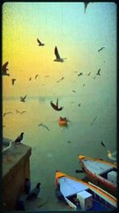 Top English Songs for Aesthetic WhatsApp Status 🎶