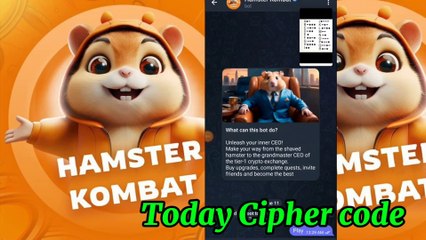 Hamster Kombat Daily Cipher Code