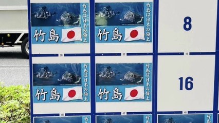 도쿄도지사 선거게시판 '독도는 일본 땅' 포스터 대거 도배 '물의' / YTN