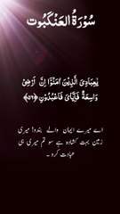 ya ibadiallaziyn amanu ya ibadiallaziyn amanu slowed reverb quranYa ibadi allazina Amanu Inna... #ﷲ#