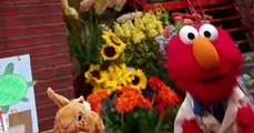 Sesame Street S49 E001