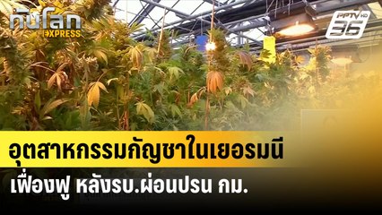 อุตสาหกรรมกัญชาในเยอรมนีเฟื่องฟู หลังรบ.ผ่อนปรน กม.| ทันโลก EXPRESS | 22 มิ.ย. 67