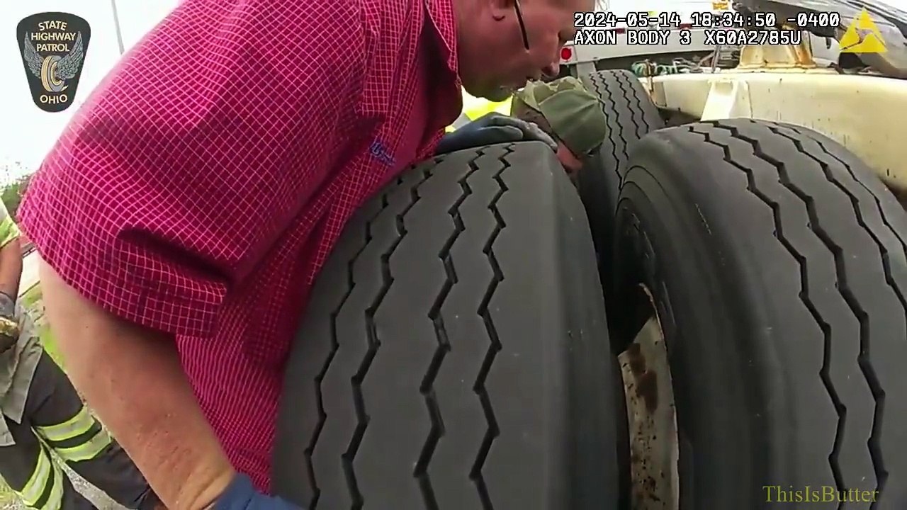 Un policier sauve un chaton coincé entre 2 pneu de camion