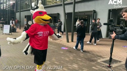 A brass band plays at the University of Wollongong's Open Day on June 22.