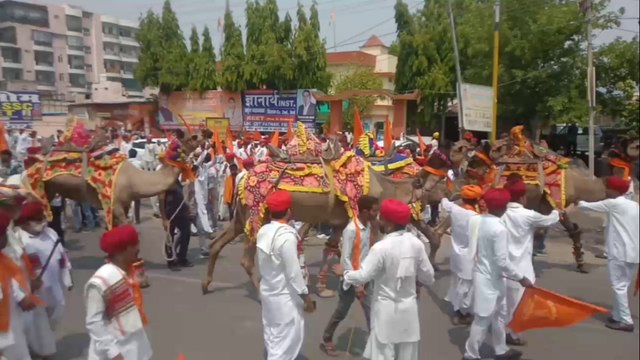 अलवर में निकली ऊंट और घोड़ों की सवारी; आकर्षण का केंद्र बनी, देखें वीडियो