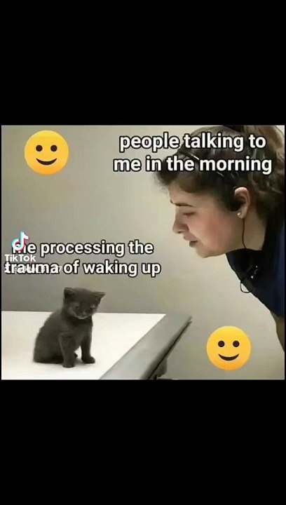  -#meme #funny #funnyfails #funnyvideo #humor #humour #humormemes #memes #memesvideo #fails