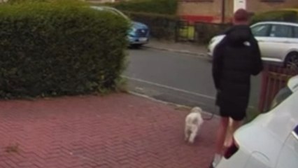 Battling the birds: Young boy struggles against aggressive seagulls