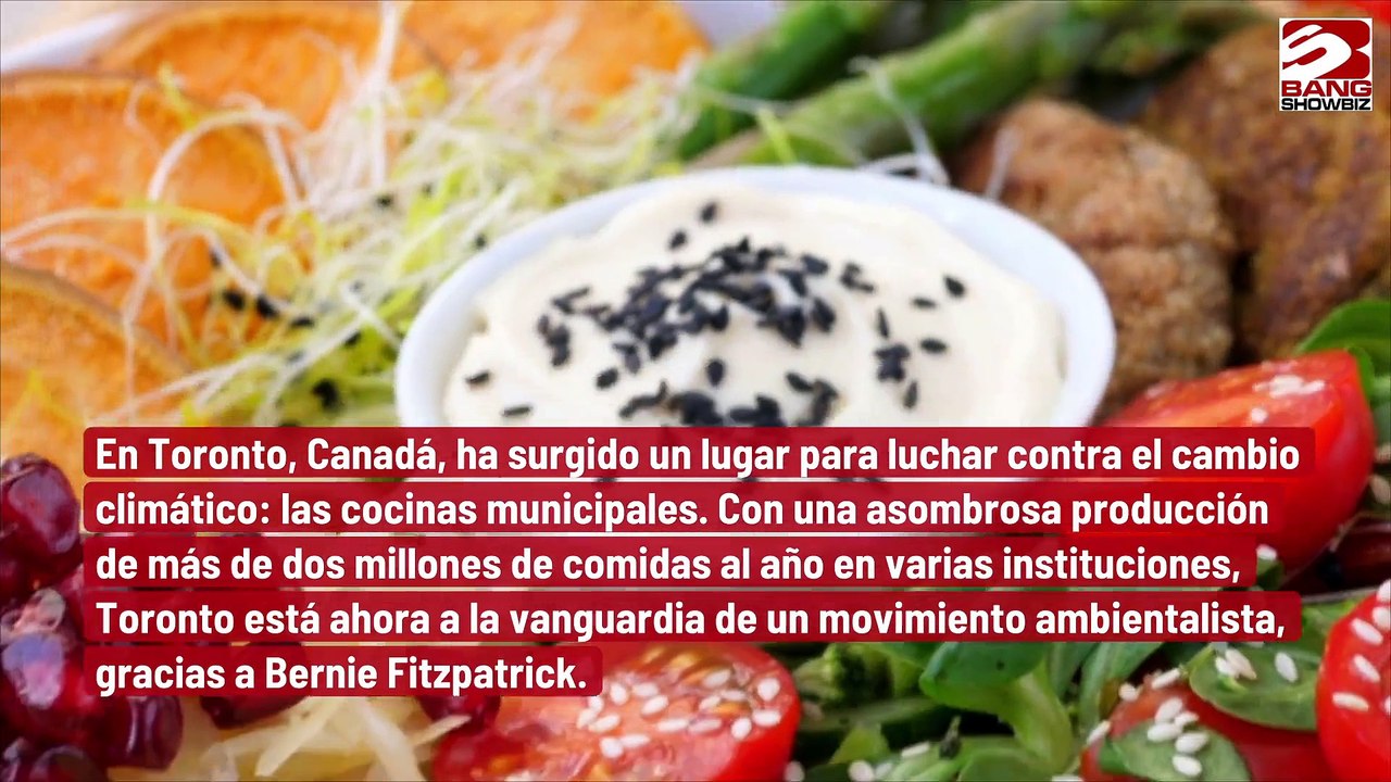 Un estudio rastrea el impacto de la contaminación por mercurio y el cambio climático en los helechos