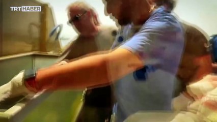 İstanbul'da yasaklı hayvan operasyonu: Timsaha tasma takıp gezdirmişler