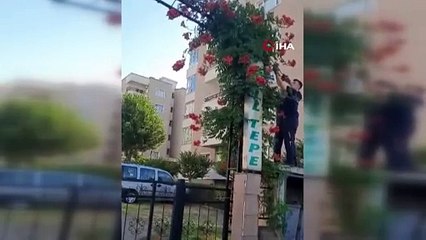 Sitenin bahçe kapısına dolanan yılan ecel terleri döktürdü