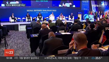 북러'동맹' 후폭풍…미국서 韓 핵무장 불가피론 확산