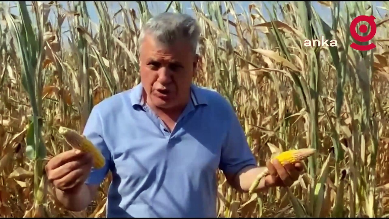 Ayhan Barut, Kozan'da çiftçilerin sorunlarını dinledi: "Tüm tarım alanları neredeyse tamamen kurudu"