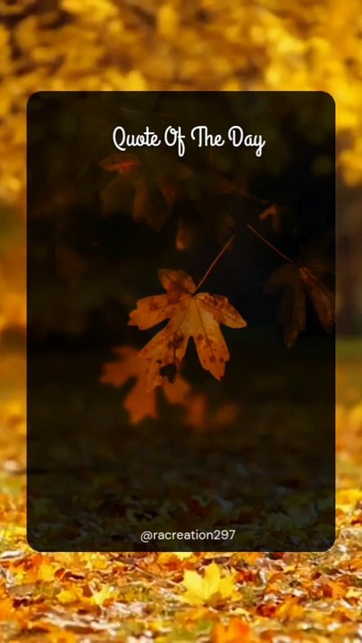 Quote Of The Day| Daily Quote #quotes #viral #shorts #dailyquotes