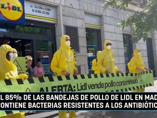 El 85% de las bandejas de pollo de Lidl en Madrid contiene bacterias resistentes a los antibióticos