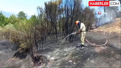 Mersin'de ormanlık alanda çıkan yangın kontrol altına alındı