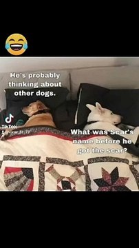 -#meme #funny #funnyfails #funnyvideo #humor #humour #humormemes #memes #memesvideo #fails