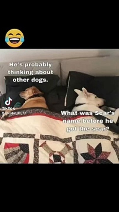  -#meme #funny #funnyfails #funnyvideo #humor #humour #humormemes #memes #memesvideo #fails