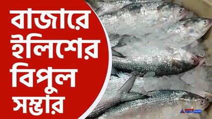 মাছে ভাতে বাঙালির পাতে পড়তে চলেছে ইলিশ