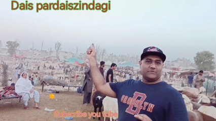 qurbani of Eid so much costs 2024