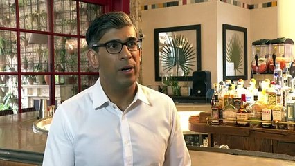 Sunak on Farage's Russia remarks: Plays into Putin's hands