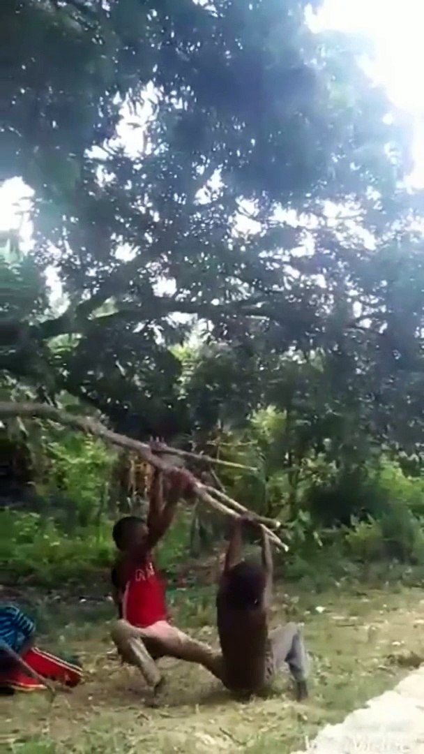 Funny video Funny