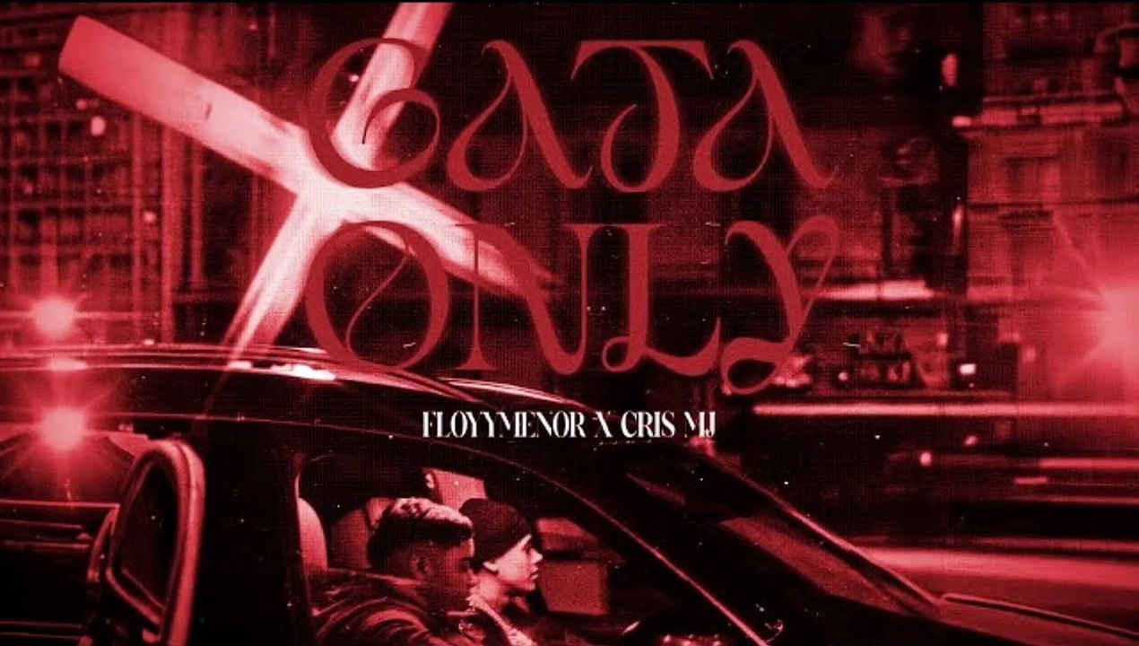 Gata only X Gata only (TikTok Version) - Remix