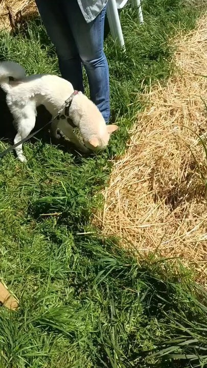 Mes parents sont là et ça se passe pas comme prévu !