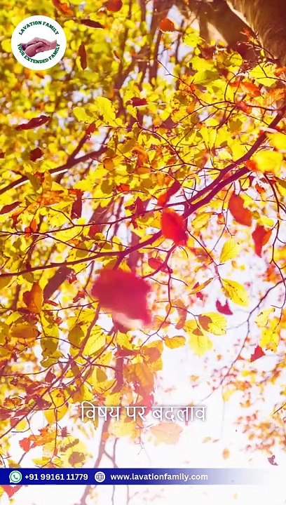 Free One on One & Online Counseling for individuals