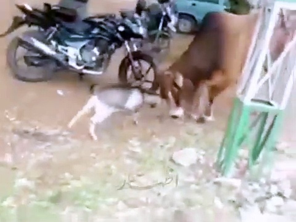 ظلم نہیں کرو محنت کرو