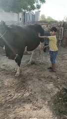 Dodh pety wqt ki Dua